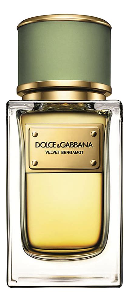 dolce & gabbana velvet bergamot|d&g online shopping.